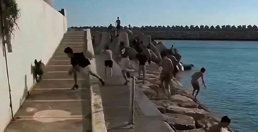 Agadir : une vidéo montrant des enfants menacés par des chiens suscite l’indignation