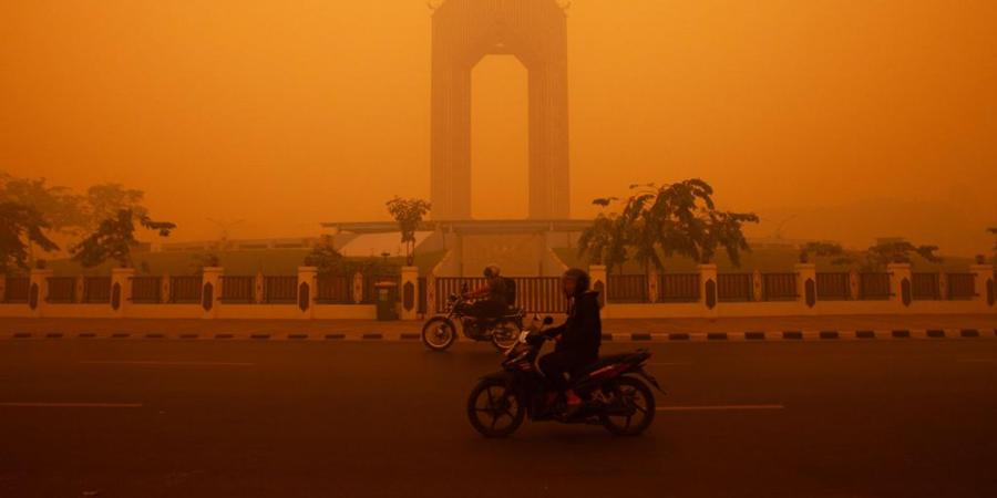 Indonésie : des incendies géants provoquent un brouillard toxique et une crise sanitaire
