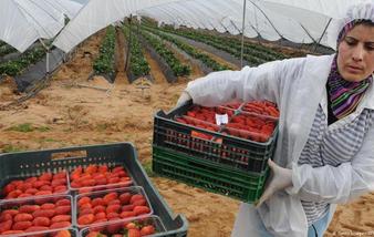 Marokko ondersteunt vrouwelijke boeren en duurzame agrifoodsystemen tijdens FAO-vergadering in Rome
