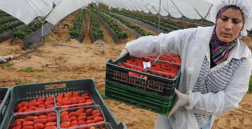 מרוקו מקדמת נשים חקלאיות ומערכות חקלאיות ברות קיימא בפגישה של ה-FAO ברומא