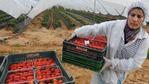 Marokko ondersteunt vrouwelijke boeren en duurzame agrifoodsystemen tijdens FAO-vergadering in Rome