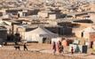 Tindouf : le HCR appelé à informer les populations sur les options de solutions durables