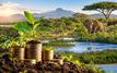 Africa Nature Impact Fund vise 100 millions de dollars pour la biodiversité en Afrique
