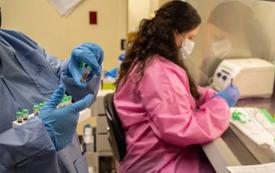Belgium reports 14 confirmed West Nile virus cases and two deaths