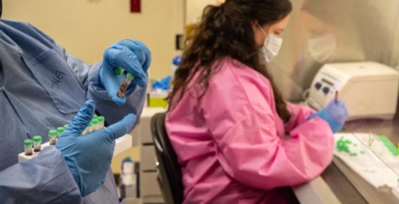 Il Belgio riporta 14 casi confermati di virus del Nilo occidentale e due decessi