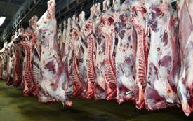 Casablanca : hausse du prix minimum de la viande bovine, recul de l’ovin et des agrumes