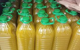 Morocco Expects Olive Oil Prices to Fall as Production Forecasts Rise by Up to 80%