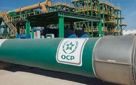 OCP prévoit de prendre le contrôle total d’EMAPHOS d’ici début 2027