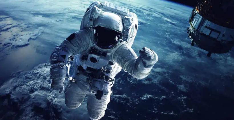 Miniature Human Brains Sent to Space to Study Aging and Neurological Diseases