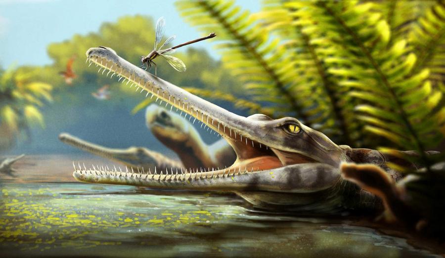 Paléontologie : une nouvelle espèce de reptile du Jurassique découverte au Maroc