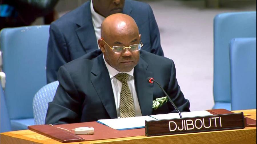 Moroccan Sahara: Djibouti Welcomes UN Security Council Resolution 2797