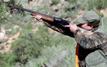 Souss-Massa : la saison de chasse 2026-2027 démarre sous le signe de la gestion durable