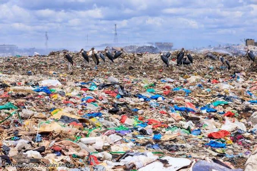 Plastic pollution costs Morocco nearly $1.2 billion a year, Greenpeace says