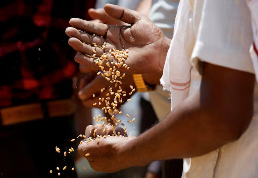 India resumes wheat exports but high prices may curb demand