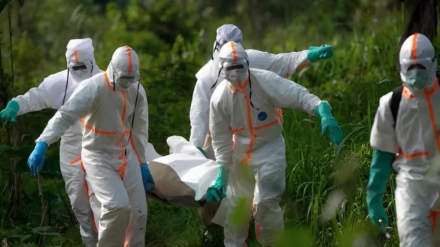 Ebola : le CDC Afrique déclare une urgence de santé publique de sécurité continentale en raison de la souche Bundibugyo