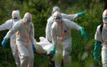 Ebola : le CDC Afrique déclare une urgence de santé publique de sécurité continentale en raison de la souche Bundibugyo