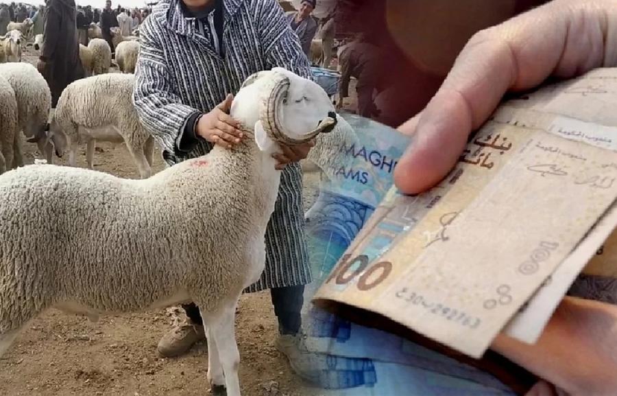 حكم الإقتراض لشراء أضحية العيد
