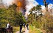Major wildfire near Dutch military training ground brought under control