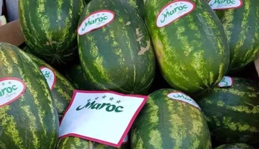 انخفاض غير مسبوق في أسعار "الدلاح" المغربي بأوروبا