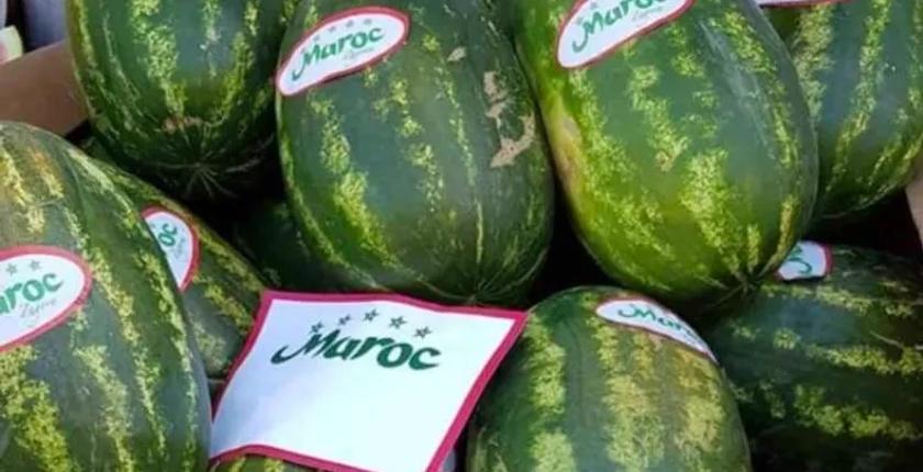 انخفاض غير مسبوق في أسعار "الدلاح" المغربي بأوروبا