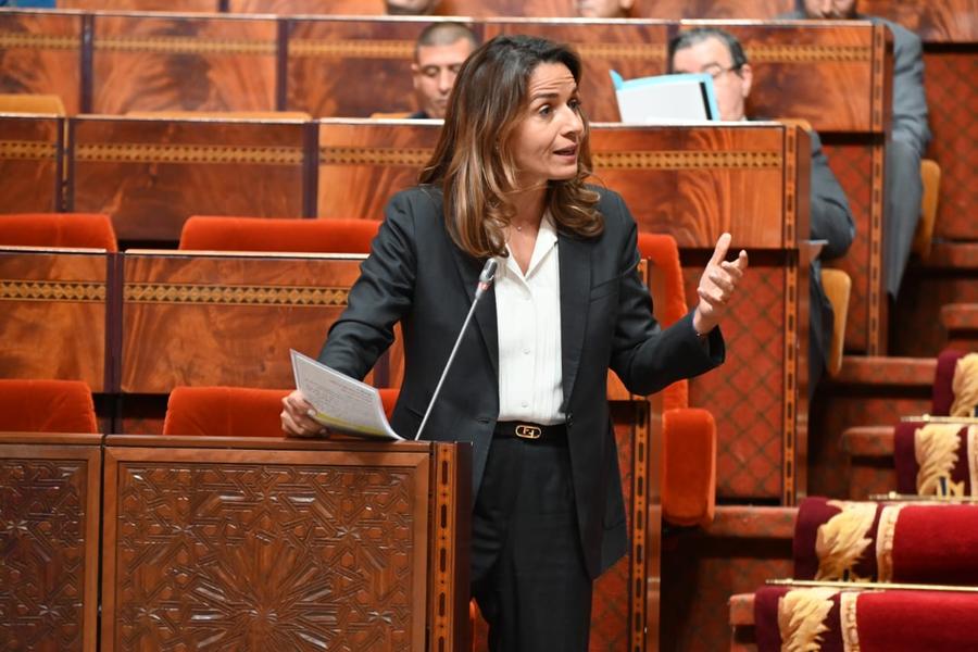 بنعلي...الحكومة تواصل تنزيل إصلاحات هيكلية في قطاع الطاقة