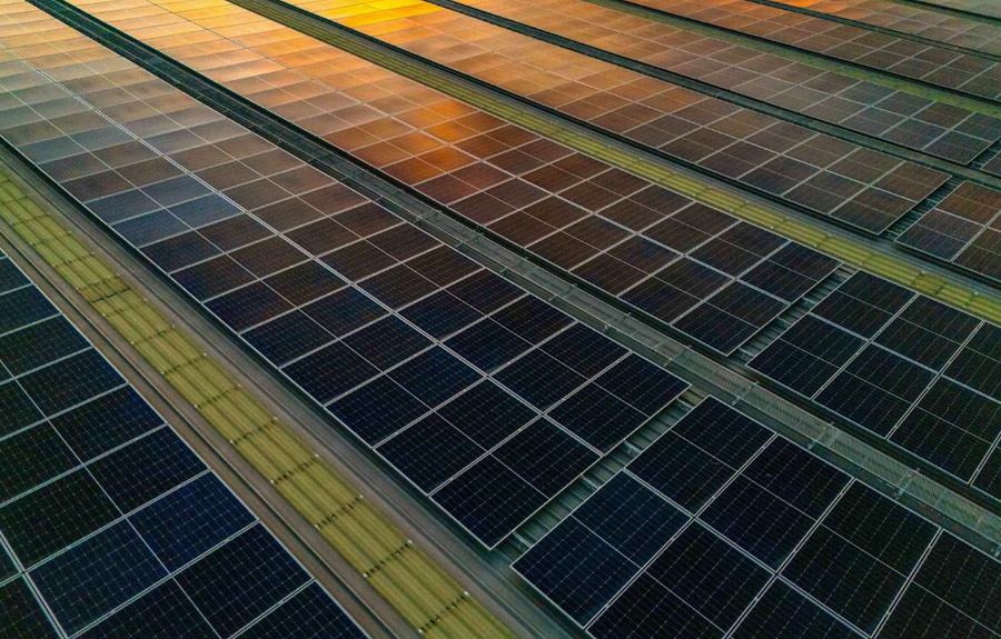 La energía solar será la principal fuente mundial en 2032, según BNEF