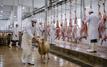 Aïd Al-Adha 2026 : Casablanca renforce son dispositif d’abattage aux Abattoirs Communaux