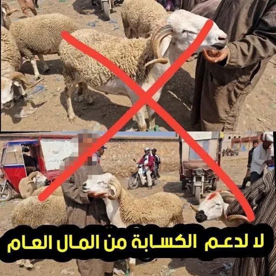 حملة رقمية "لا لدعم الكسابة من المال العام" تغزو مواقع التواصل