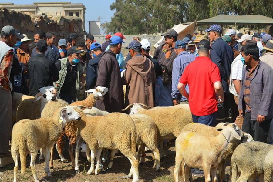 حملة رقمية "لا لدعم الكسابة من المال العام" تغزو مواقع التواصل