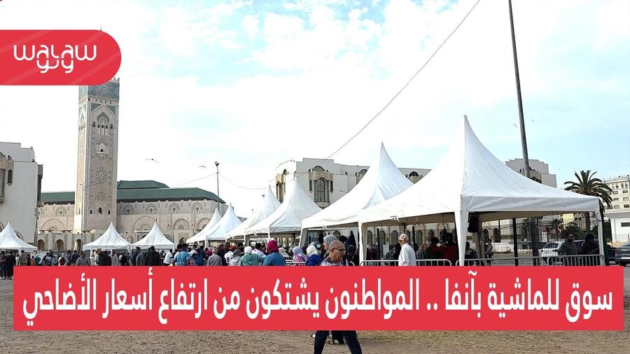 سوق للماشية بآنفا .. المواطنون يشتكون من ارتفاع أسعار الأضاحي