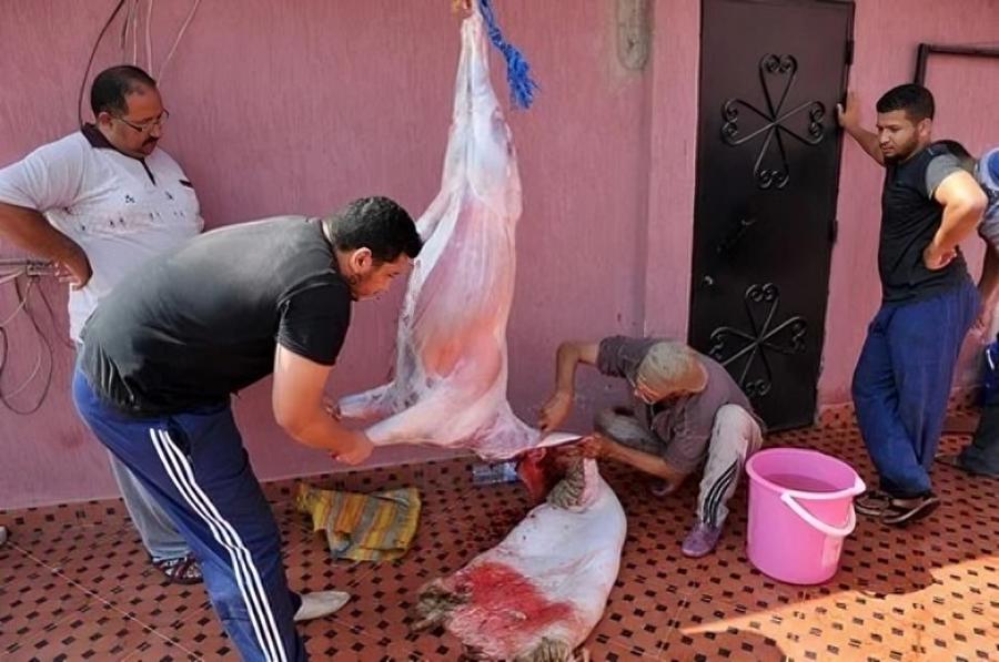 "أونسا" يوضح طرق الحفاظ على لحوم أضاحي العيد في ظل موجة الحر