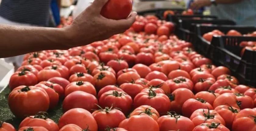 El auge de las exportaciones de tomate de Marruecos supera a España