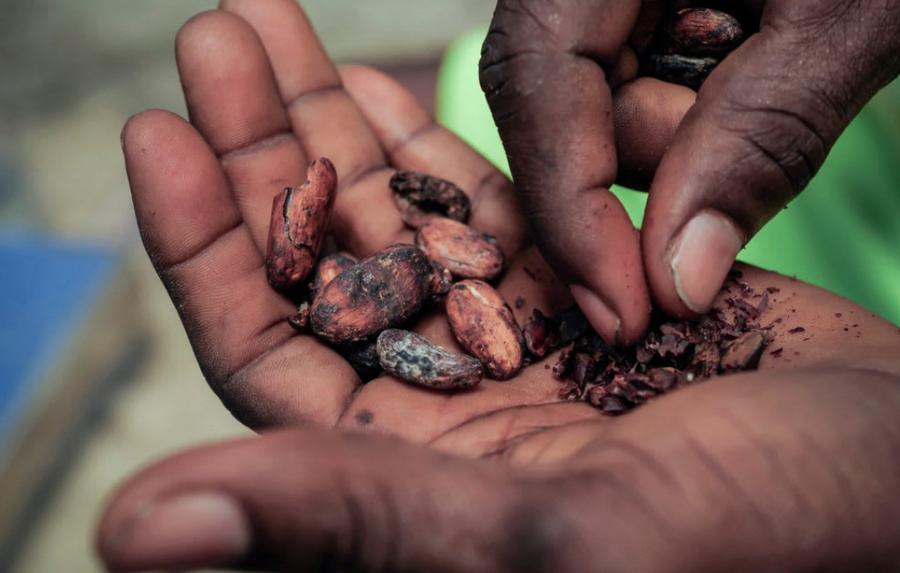 La caída del cacao impulsa el regreso del chocolate tradicional