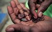 Cocoa price slump pushes chocolate makers back to traditional recipes