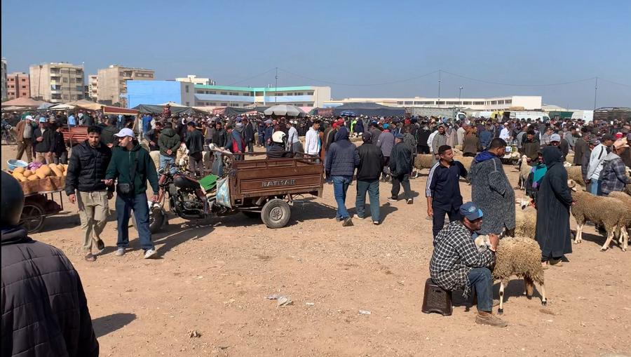 فوضى واحتقان داخل سوق بفاس بسبب غلاء الأضاحي