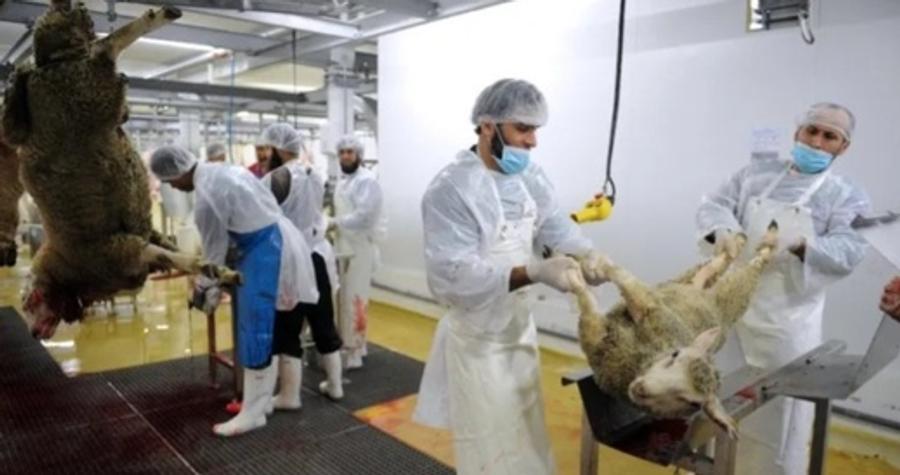 الحبس وغرامة ثقيلة لمن يذبح الأضاحي خارج المسالخ في فرنسا