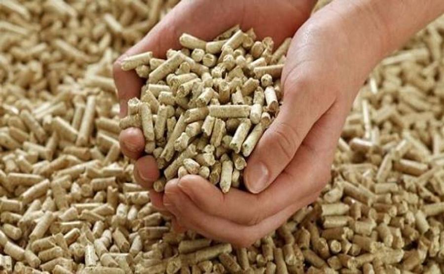 مراجعات جمركية تربك قطاع الأعلاف الحيوانية