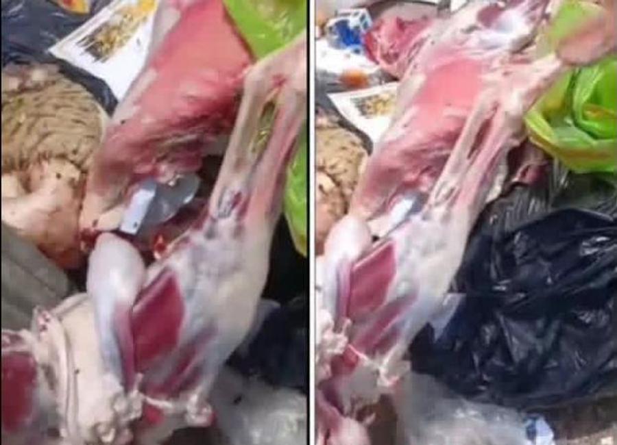 رمي لحوم أضاحي العيد كاملة يشعل مواقع التواصل