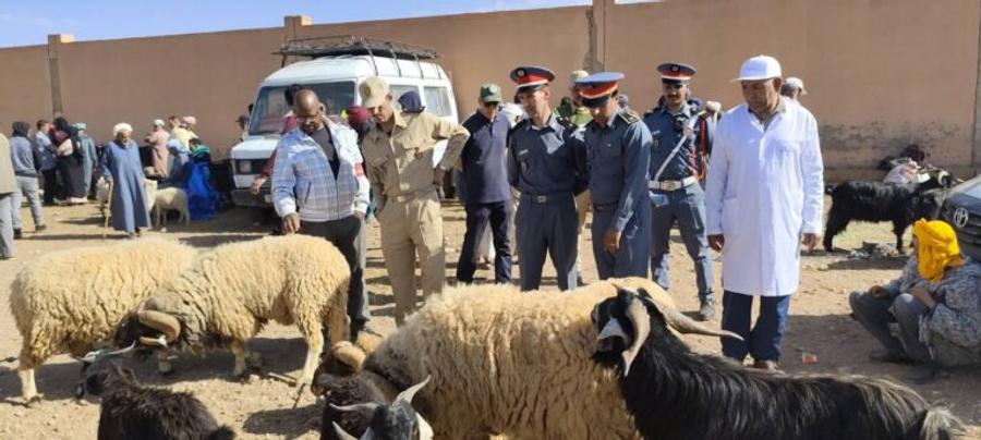 حجز أضاحي مريضة بأسواق ورزازات