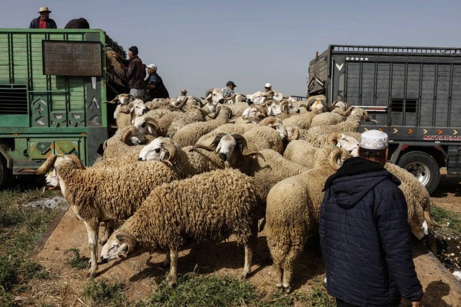 أخبار "زائفة" عن أضحية العيد تجر موقعا إلكترونيا للقضاء