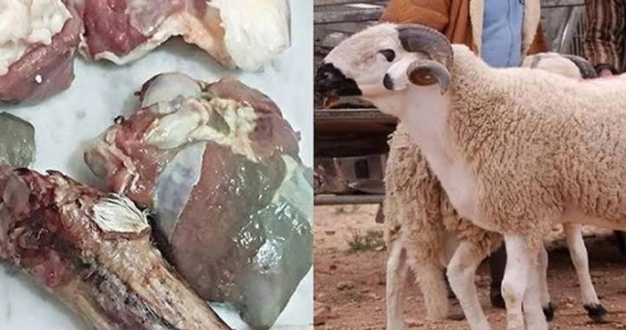 مواطنون يشتكون فساد لحوم الأضاحي