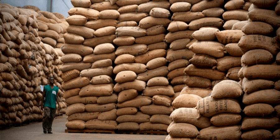 Importations marocaines de noix américaines en forte hausse