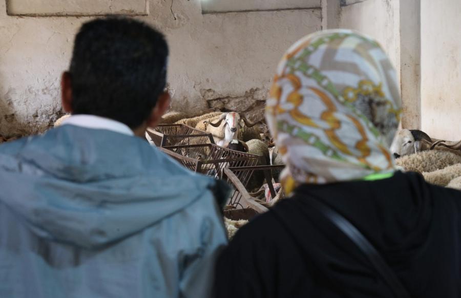 Moroccans fear fading community traditions during Eid Al Adha