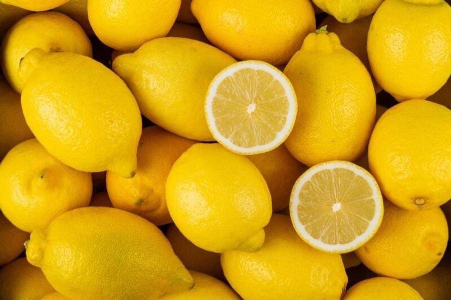 Citron marocain : forte hausse des exportations vers l’Espagne