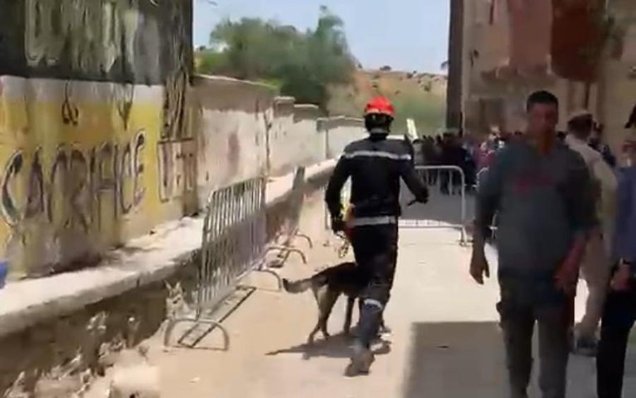 فاجعة فاس.. كلاب مدربة تبحث عن مفقودين تحت الأنقاض