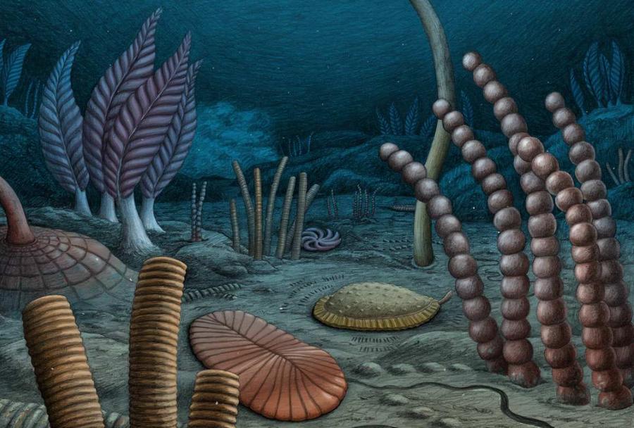 Fósiles hallados en Canadá adelantan origen del movimiento animal