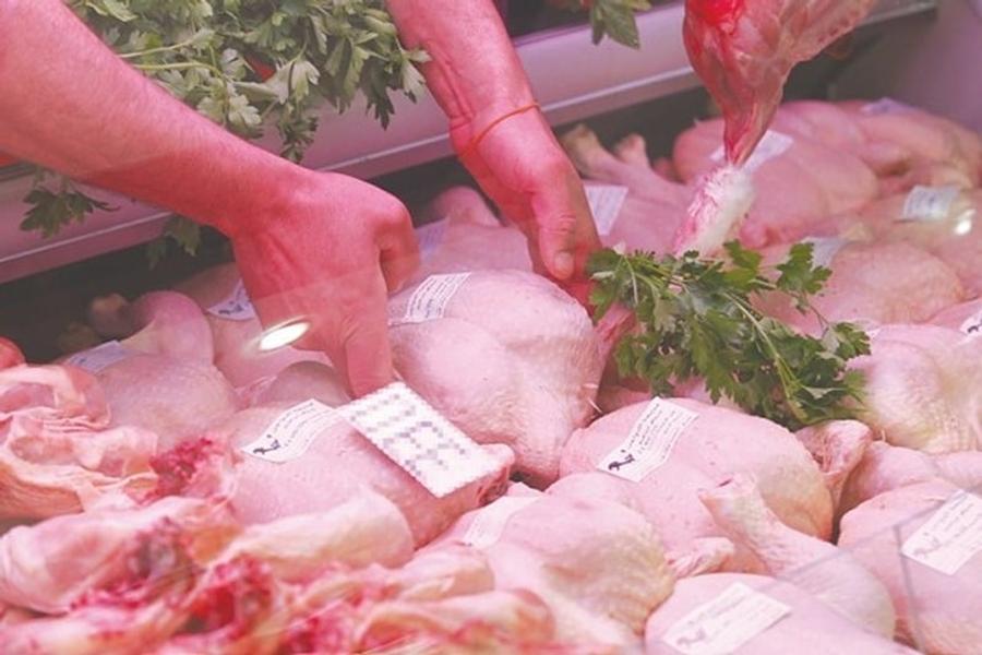 Volaille au Maroc : une baisse des prix sous tension à l’approche de l’Aïd