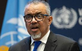 Hantavírus a bordo do MV Hondius: OMS afasta risco de crise de saúde global