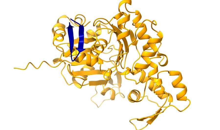 Scientists identify 1,700 unknown proteins hidden in the human dark proteome