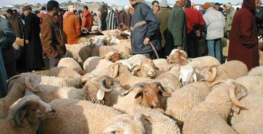 حماة المستهلك يطالبون بتخصيص فضاءات معقمة لبيع الأضاحي